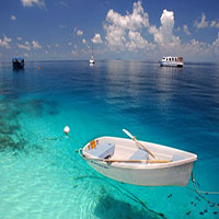 ساحل،جزیره،زندگی دریایی مالدیو