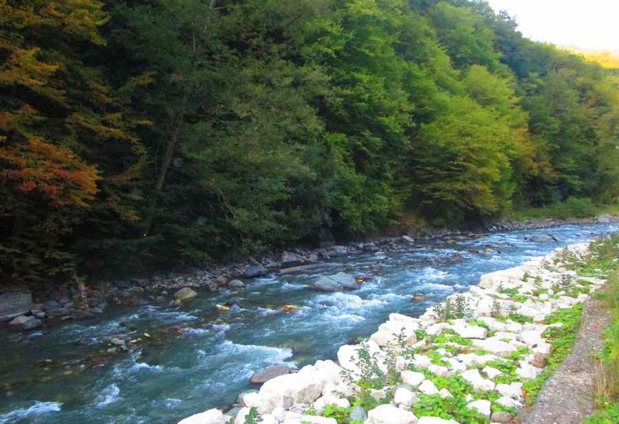 جاذبه های سوچی روسیه