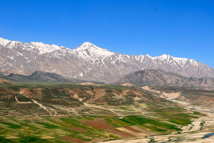 زرد کوه