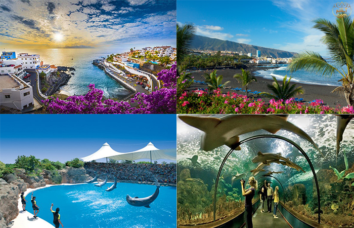 جزایر قناری