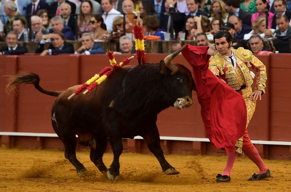 Bullfighting in Spain