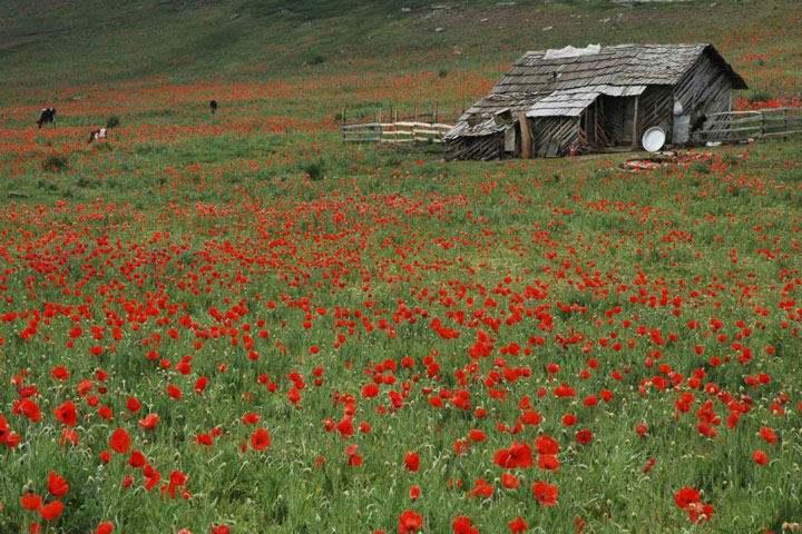 مقاصد بکر طبیعت گردی در ایران