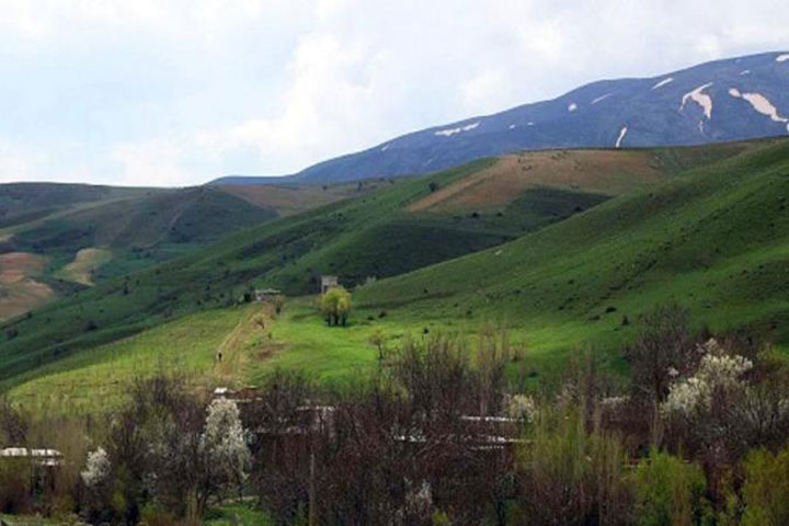 سیلوانه