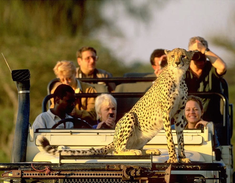 تورهای نوروز قاره  آفریقا