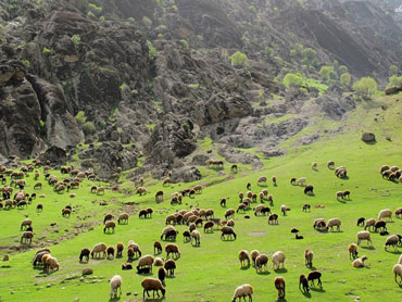 جاذبه های بی نظیر لرستان را کشف کنید  