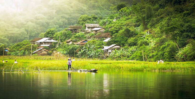 محصولات کشور ویتنام کدام است؟ محصولات معروف و صادراتی