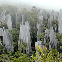 پارک ملی گونونگ مولو مالزی