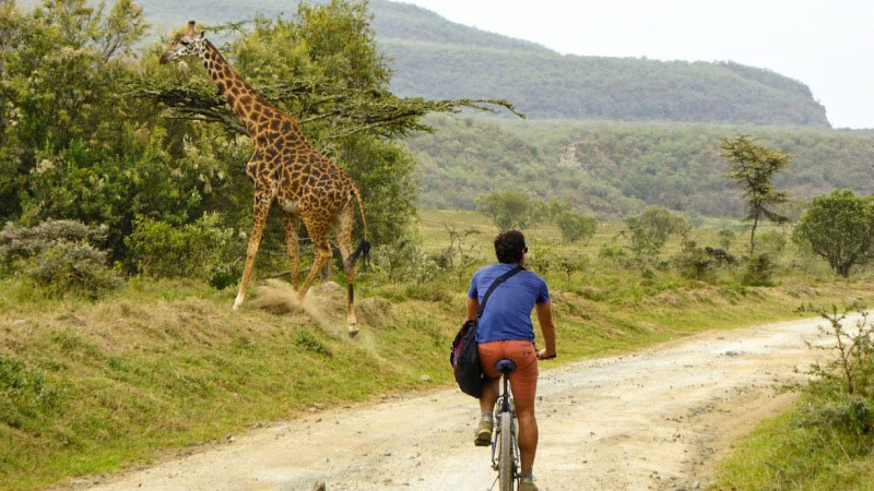 14 نکته جالب در سفر به کنیا 
