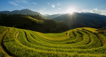 تور ویتنام با پرواز مستقیم (دانانگ، سایگون، هانوی، هالونگ)