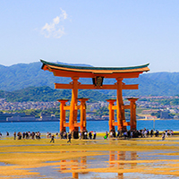 معبد Miyajima Torii و  Itsukushima