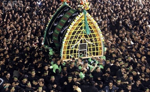 نخل و نخل گردانی در یزد