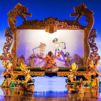 رقص و نمایش های زنده بالی