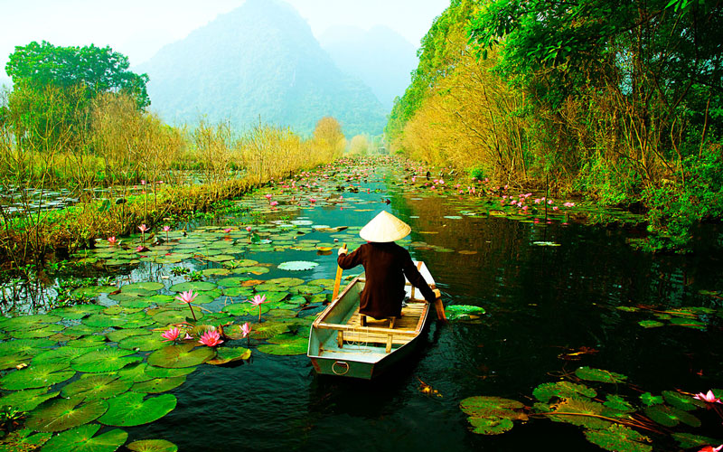 جمعیت ویتنام: آمار ۲۰۲۵، جمعیت کشور ویتنام چقدر است و مردم کشور ویتنام